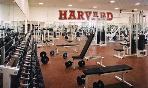 Harvard Extracurricular Activities And Student Clubs What To Expect