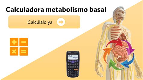 Calculadora Del Metabolismo Basal TMB