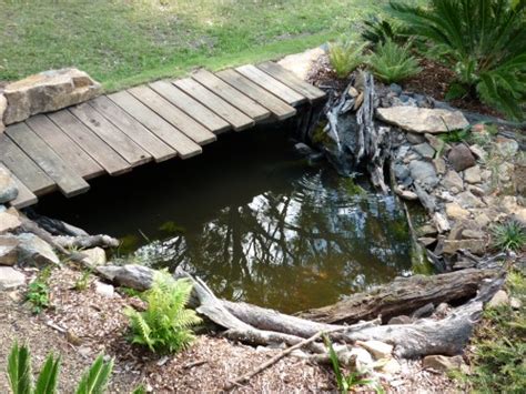 Paths & landscaping how to create a frog pond give frogs a safe environment in your backyard by building your own frog pond. How to build a frog pond
