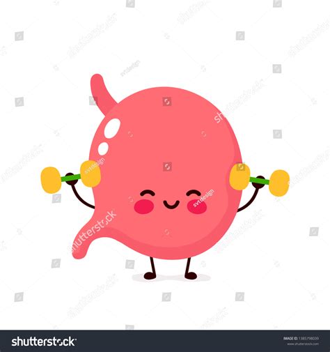 Cute Happy Smiling Stomach Organ Doing Stock Vector Royalty Free