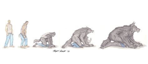 Wolf Man Transformation Sequence By Kigai Holt On Deviantart