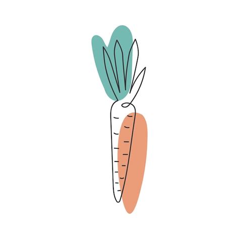 Premium Vector Carrots In The Style Of Line Art With Colored Spots
