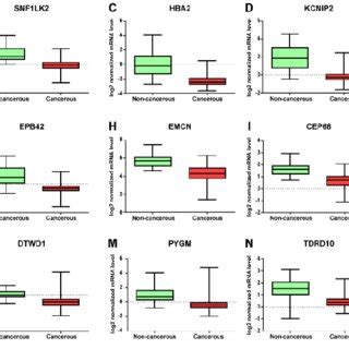 Expression Levels Of Downregulated MRNA In Breast Cancer Tissues 14