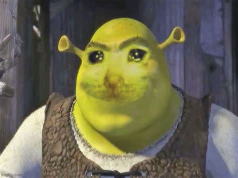 Sad Shrek Imgflip