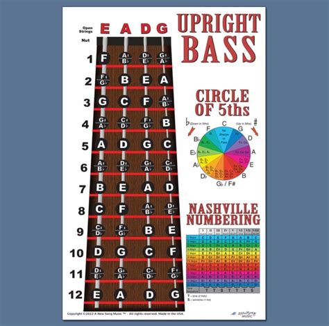 Amazon Upright Bass Fingerboard Instructional Poster String Bass Notes Chart Nashville