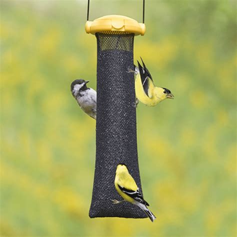 Choose The Best Nyjer Feeders To Attract Finches Birds And Blooms