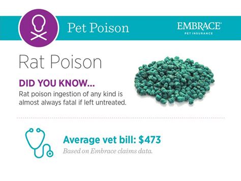 Rat Poison Toxicity Rat Poison Pet Poison Prevention Pet Poison