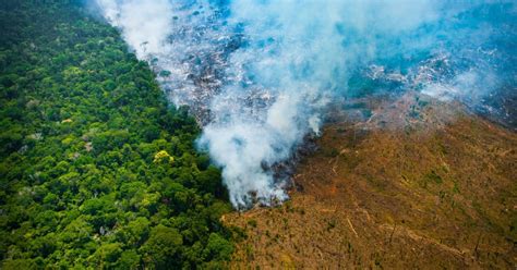 A primeira expressão que pode ser designada para definir a nova ordem mundial é a unipolaridade, uma vez que, sob o ponto de vista militar, os eua se tornaram soberanos diante da impossibilidade. Desmatamento na Amazônia: causas, consequências e como ...