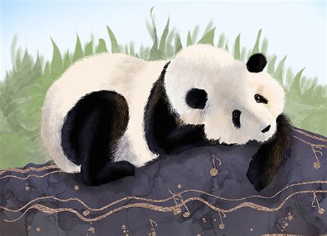 Panda Art Prints Andreea Dumez Artist
