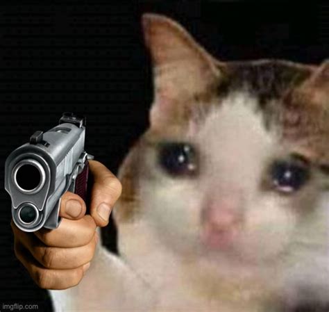 Sad Cat Pointing Gun Blank Template Imgflip