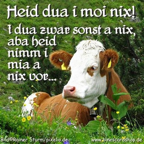 Check spelling or type a new query. 148 besten BAYRISCHE SPRÜCHE na sowas von lustig Bilder ...