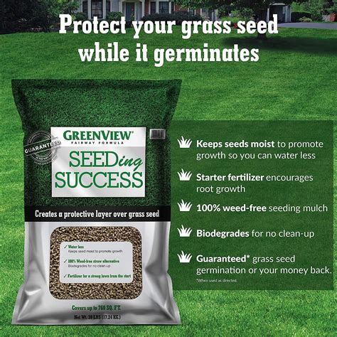 Buy Greenview Fairway Formula Grass Seed Turf Type Tall Fescue Sun