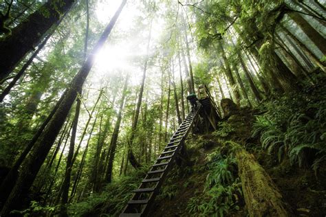 63 Best West Coast Trail Images On Pholder Campingand Hiking Hiking