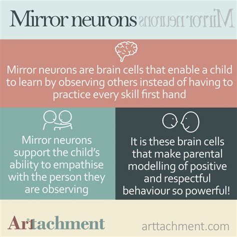 What Are Mirror Neurons Why Are They So Important For Parenting
