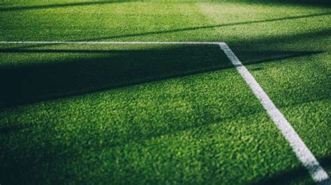 Updated to match(es) played on 31 july 2021. First licensing decisions for 2021-22 season | DFL ...