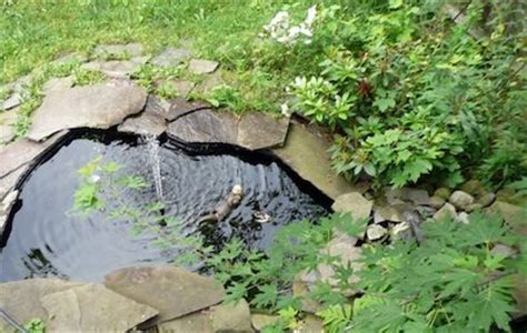 There are several types of flexible liners meant for small ponds—made from polypropylene and epdm, among other materials. DIY Backyard Pond Tips - Bob Vila