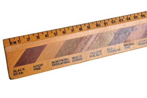 Wooden Ruler In Centimeters With Selective Focus Showing The Different