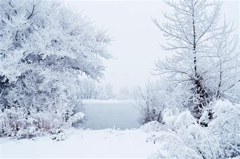 In Diesem Winter Kostenloses Stock Bild Public Domain Pictures