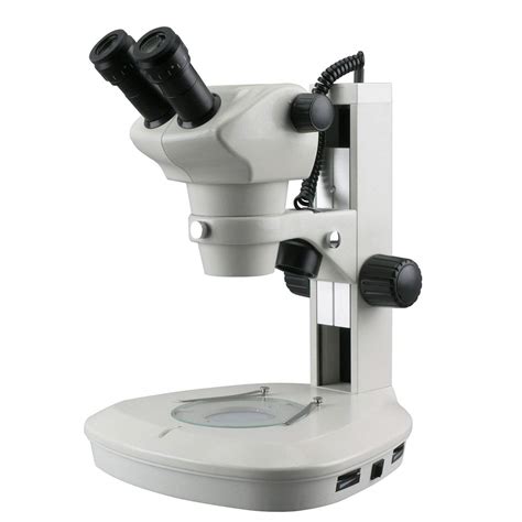 Los 8 Mejores Confocal Microscopios Octubre 2020 Análisis