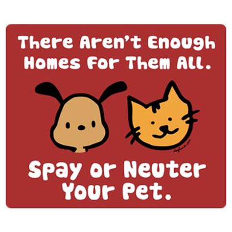 Spaying and neutering your pets means that you improve their health, save money on vet bills and help reduce pet overpopulation. Medicaid Spay Neuter Program Alabama