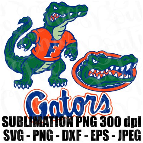 12+ Florida Svg Free PNG