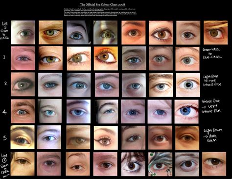 All About The Human Eye Color Chart Ovo Mod Fashion Human Eye Colour