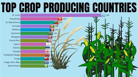 Top Country By Crop Production Top Crop Producing Countries In The