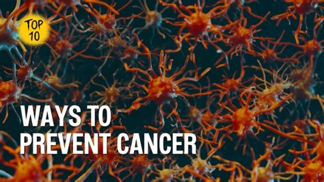 10 Effective Ways To Prevent Cancer New Solution Website