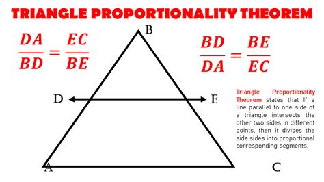 Triangle Proportionality Theorem Worksheet Answer Key Printable Word
