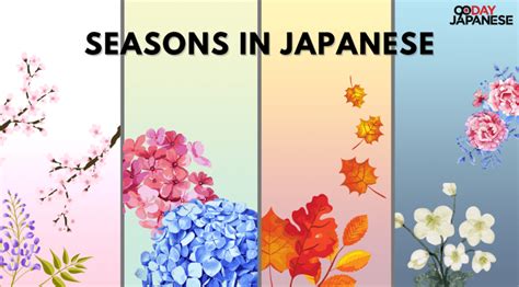 Seasons In Japanese What You Should Know Before Your Trip