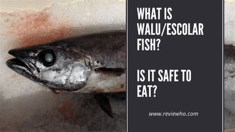 What Is Walu Fish Aka Escolar Is It Safe To Eat Reviewho