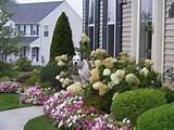Photos of Cheap Front Yard Landscaping