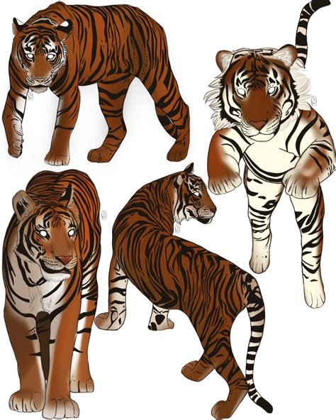 Tiger Study 2 By Skywitchart On Deviantart