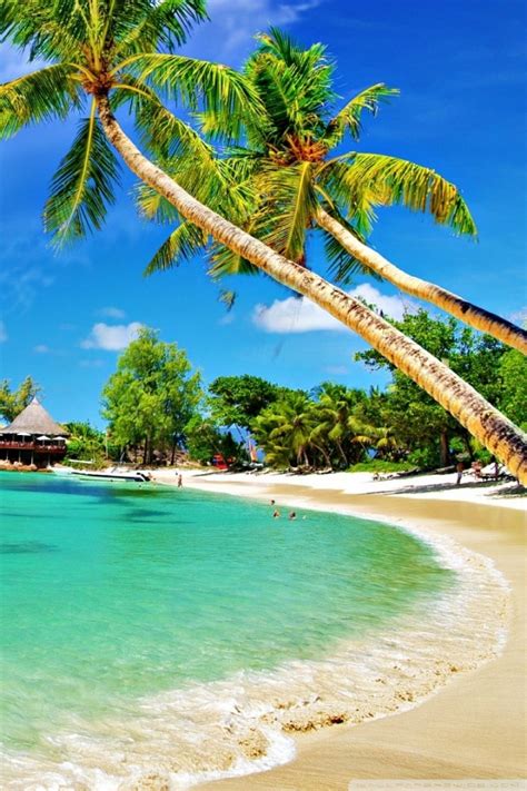 Awesome Tropical Beach Ultra Hd Desktop Background