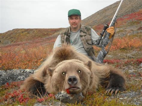 10 Day Grizzly Bear Hunt For One Hunter In Arctic Alaska Includes