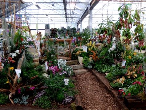 Neueste gartencenter rosenheim gutschein & gutscheincode verfügbar bei coupert deutschland. Bellandris Garten-Center - Bild von Bellandris Garten ...