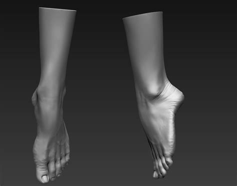 12 Female Feet 3d Model Cgtrader