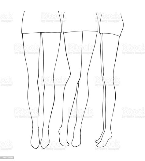 Hand Drawn Female Legs Linear Sketch Stock Illustration Download Image Now Leg Vector
