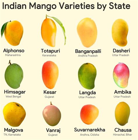 Mangoes Which Ones Are Your Favorite Learning Thursdays