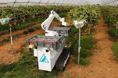 Fruit Picking Robots Robotics Electronix Garage