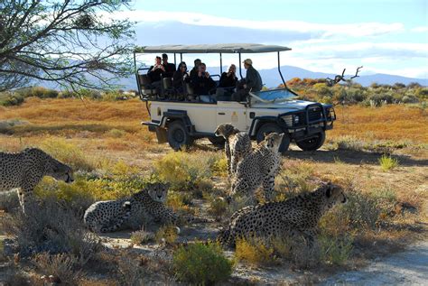 Big Five Safaris Near Cape Town