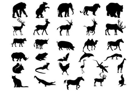 Animal Silhouettes Vector Art Icons And Graphics For Free Download