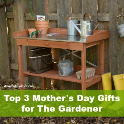 Sending an ecard, which is a gift card sent via email, is a great gift for this mother's day since most people can't see each other in person due to quarantine. Top 3 Mother's Day Gifts for The Gardener