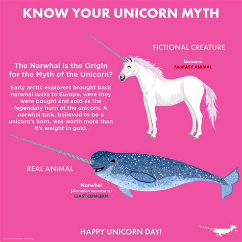 Happy Unicorn Day Although Peppermint Narwhal Creative