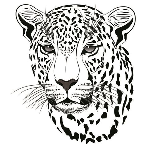 Https://tommynaija.com/coloring Page/animal Coloring Pages Black And White For Personal Use