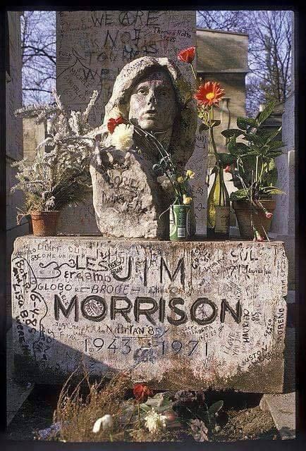 Free Live Streammorrison Memorial Show Peacefrog1