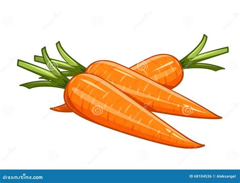 Carrot Vector Illustration Eps10 White Background Stock Vector Image