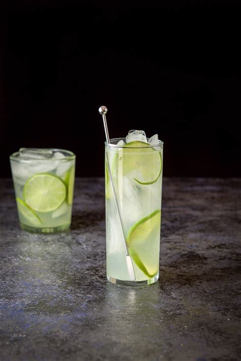Gin, and a spot of lime. Gin Lime Rickey | So Refreshing and Delicious | Dishes Delish