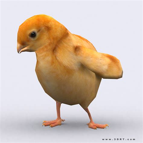 Find & write the names of animals starting with the letters c, r, s, g, b, d, t. Characters :: Animals :: Domestic animals