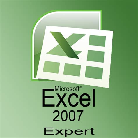 Microsoft Office Excel 2007 Expert Envision International